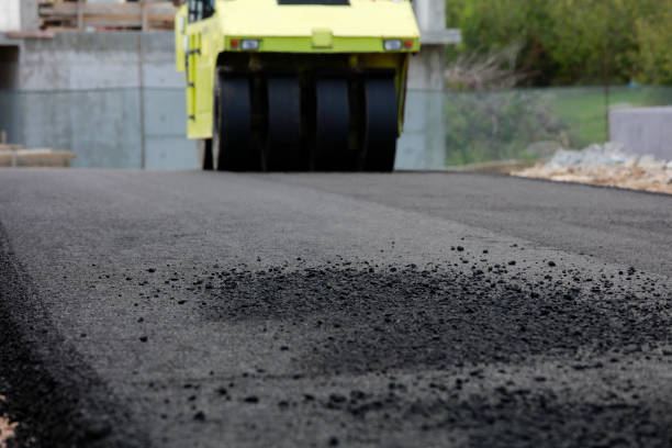 Best Driveway Paver Repairs and Restoration in Davis Junction, IL